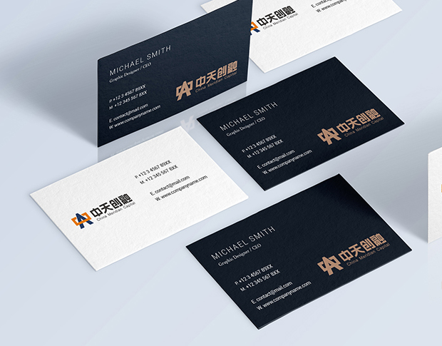 中天創(chuàng)融資本控股有限公司